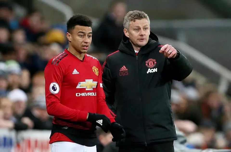 育的文化层 育的文化层